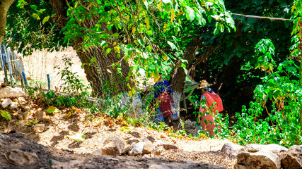 Tetouan, Morocco - August, 21, 2024 : Two Moroccan women in floral dresses and colorful hats walk through a dense, lush forest under a bright sun.