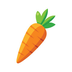 Carrot vector illustration on white background, Fresh vegetable isolated, Whole carrot vector illustration, Cartoon drawing of whole carrot isolated on white background. Food, nutrition, diet concept