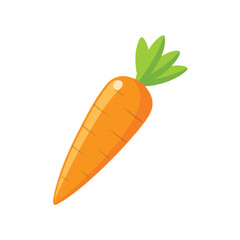 Carrot vector illustration on white background, Fresh vegetable isolated, Whole carrot vector illustration, Cartoon drawing of whole carrot isolated on white background. Food, nutrition, diet concept