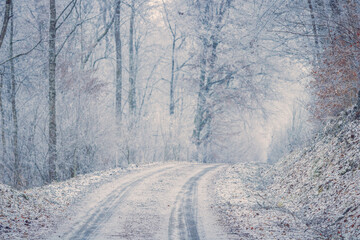 Winter landscape with a road leading into the snowy forest. Weather, transport, travel concept.