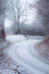 Winter landscape with a road leading into the snowy forest. Weather, transport, travel concept.