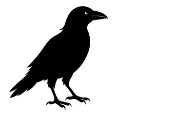 Obraz premium Vector, isolated black silhouette bird
