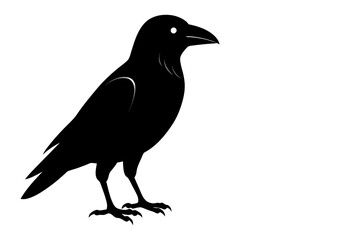 Obraz premium Vector, isolated black silhouette bird