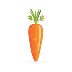Carrot vector illustration on white background, Fresh vegetable isolated, Whole carrot vector illustration, Cartoon drawing of whole carrot isolated on white background. Food, nutrition, diet concept