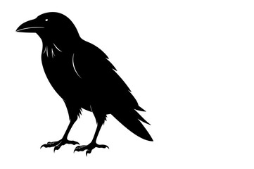 Fototapeta premium Vector, isolated black silhouette bird