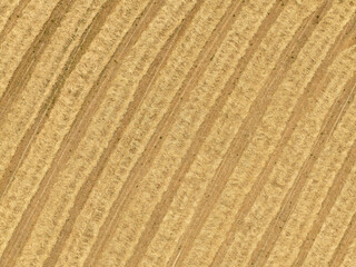 Aerial view of harvested wheat field with straw in rows.