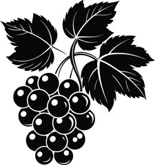 Blackcurrant fruit silhouette illustration black and white