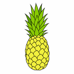 Hand drawn pineapple on a isolated white background (3)