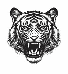 A fierce tiger head illustration, showcasing powerful features and intricate details for bold graphic designs.