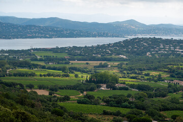 Obraz premium Landscape of French Riviera, view on hills, houses and green vineyards from above Cotes de Provence, production of rose wine near Saint-Tropez and Pampelonne beach, Var, France