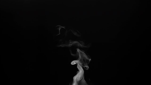 Jet of Steam from a Cup of Tea.  White steam rises light, graceful twists on a black background. The jet lifted out of the cup of hot water. Shooting at a rate of 240fps