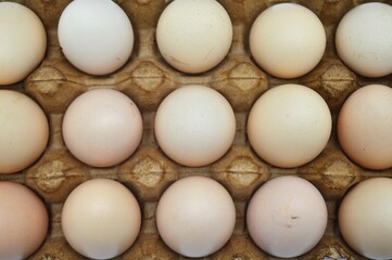 A dozen fresh eggs in a cardboard carton, showcasing their natural variations in color and texture