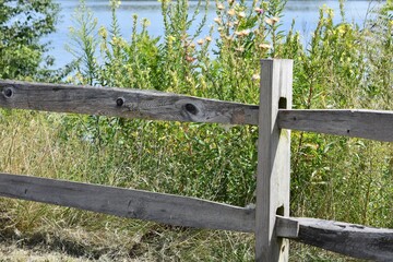 Fototapeta premium split rail fence with summer plants grasses scene