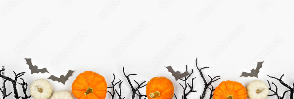 Poster halloween bottom border of spooky bats, black branches and pumpkins. top view over a white banner ba