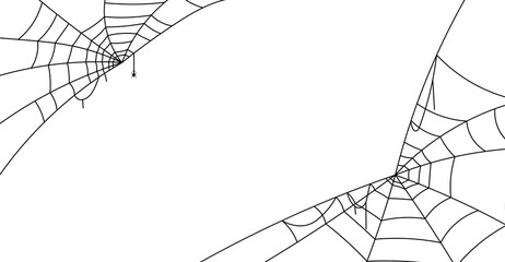 spider web halloween background, scary spider and cobweb on white background