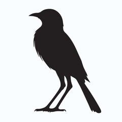 Bird Silhouette icon