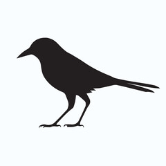Bird Silhouette icon
