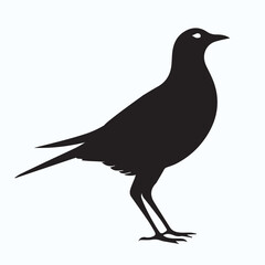 Bird Silhouette icon