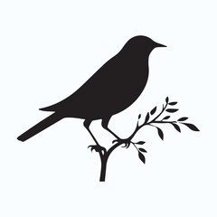 Bird Silhouette icon