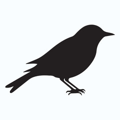 Bird Silhouette icon