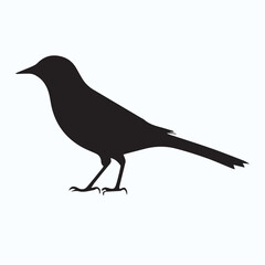 Bird Silhouette icon