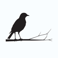 Bird Silhouette icon