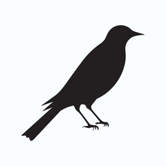 Bird Silhouette icon