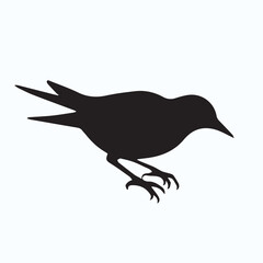 Bird Silhouette icon