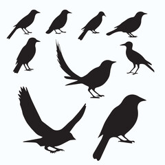 Bird Silhouette icon