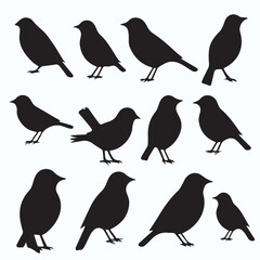 Bird Silhouette icon