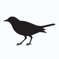 Bird Silhouette icon