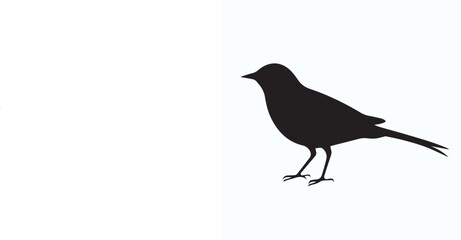 Bird Silhouette icon