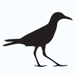 Bird Silhouette icon