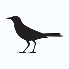 Bird Silhouette icon