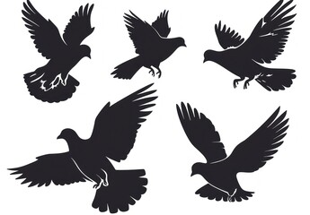 Fototapeta premium Silhouettes of Flying Pigeons