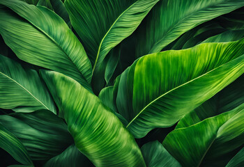 green leaf background