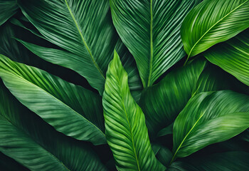 green leaf background