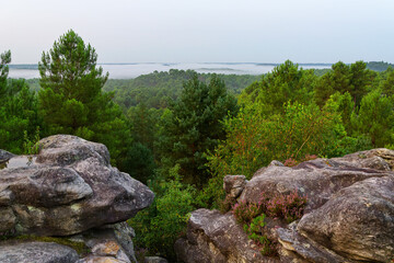 Foggy morning  on the  25 bumps circuit in Fontainebleau forest	