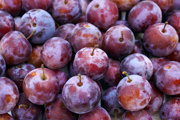 close up of fresh plums and organic fruit background.