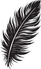 silhouette vector of feather art