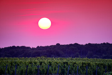 Fototapety na wymiar - Fototapeta24.pl