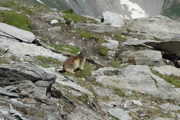 Tour des glaciers de la Vanoise