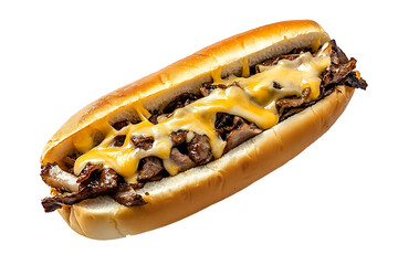 Cheesesteak isolated on  transparent background 