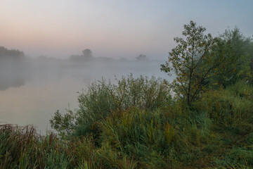misty morning on the river