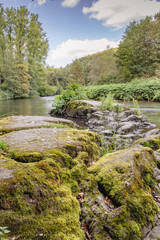 Steine im Wasser an der Wupper