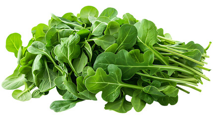Obraz premium Arugula on a transparent background