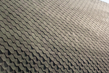 The roof displays a textured pattern of shingles, arranged in a rhythmic and repetitive design. The sunlight adds a subtle shimmer, highlighting the geometric precision.