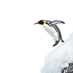 Obraz premium An emperor penguin gracefully leaps from the edge of an iceberg, preparing to dive into the frigid waters of Antarctica under a clear sky, showcasing its natural agility. Transparent background PNG