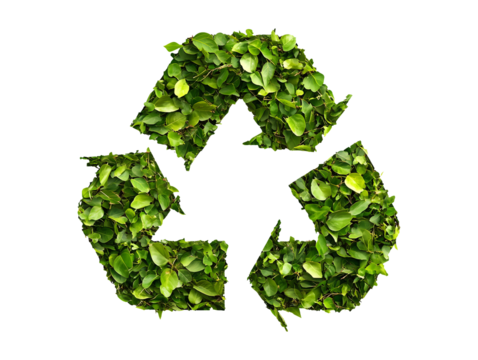 Recycle symbol made of green foliage isolated on transparent or white background