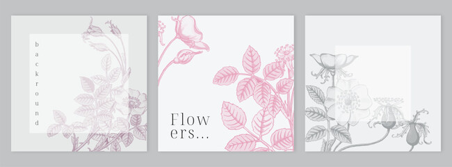 Elegant flower background. Floral layouts for greeting card, invitation, social media post. Wedding, cosmetics, beauty concept